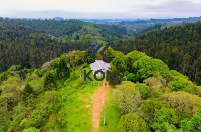 Propriedade rural  para venda em mandirituba- rural property in mandirituba-pr