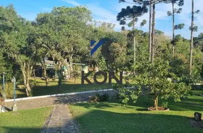 Chácara / sítio com 4 quartos à venda na Av. Nossa Sra. Da Luz, 65465, Palmitalzinho, Quatro Barras