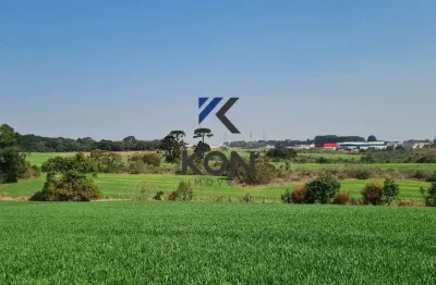 Terreno comercial à venda na Avenida Francisco Ferreira da Cruz, 6034, Eucaliptos, Fazenda Rio Grande