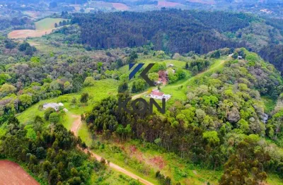PROPRIEDADE RURAL  PARA VENDA EM MANDIRITUBA- Rural Property in Mandirituba-PR