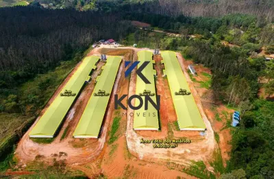 Propriedade com Granjas de Avicultura à Venda Castro Paraná