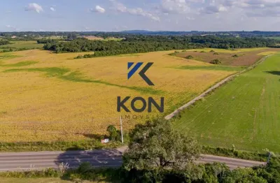 Área industrial a Venda em São José dos Pinhais PR- Land area approximately 374,100m² in São José dos Pinhais PR Brasil.