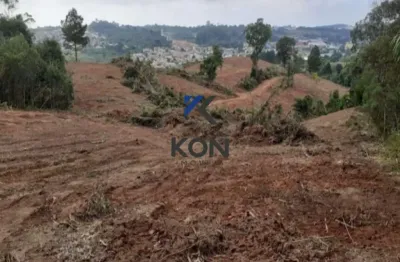 Terreno comercial à venda na Rodovia BR-277 Ponta Grossa Curitiba, 182, Vila Itaqui, Campo Largo