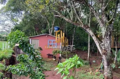 Chácara com 2 dormitórios à venda, 10000 m² por r$ 550.000 - jardim goiás - rio verde/go