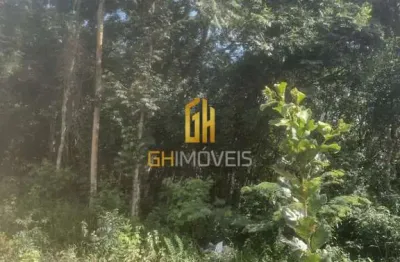 Chácara / sítio à venda na josé lobo 294, 1, centro, bela vista de goiás por r$ 150.000