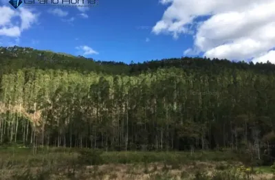 Fazenda à venda no Centro, Vargem Alta 