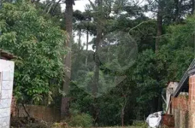 Terreno à venda na Rua Marialva, 339, Pinheirinho, Curitiba
