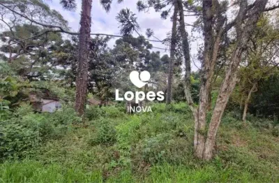 Terreno à venda na Rua Carlos Klemtz, 1011, Fazendinha, Curitiba