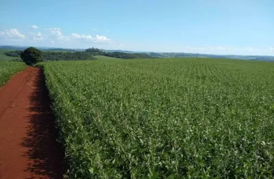 Sítio a venda  área total de 3,75 alqueires  100 % mecanizável   assaí pr