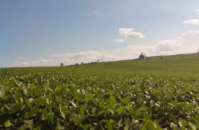 Sitio a venda  área total de 25 alqueires  , planta  18 alqueires