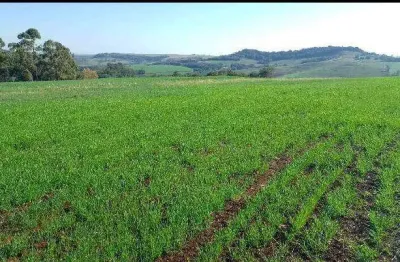 Sítio a venda  área total de 15 alqueires região de abatiá  pr.