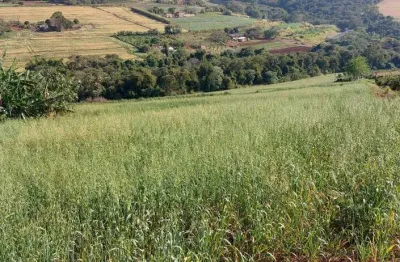 Sitio ou chácara a venda  área de 1,5 alqueires   1,5 km do asfalto .