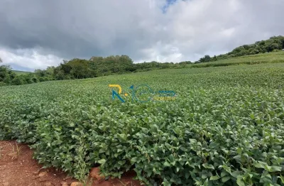 Sitio a venda  área total de 8,8 alqueires  plantando 6  região de tamarana
