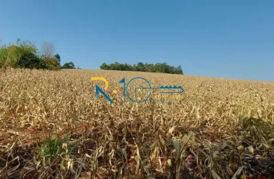 Sitio a venda ótima para barracão de frangos  7 alqueires  guaravera pr