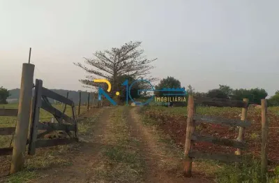 Oportunidades sitio de 2 alqueires   região de jataizinho pr