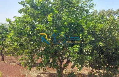 Sítio a venda  com uma área total de 68.000 m²   ótimo para loteamentos .