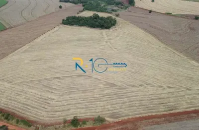 Sitio a venda  área 10 alqueires     próximo a rodovia pr 445 londrina pr