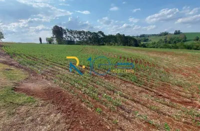 Sitio  a venda área de 2 alqueires na rodovia  topografia  plana  com rio.