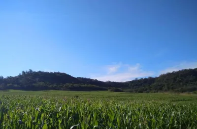 Sítio a venda   na cidade de assaí pr  área total 13,70 alqueires