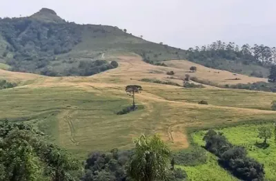 Fazenda a venda  área de 60 alqueires município de reserva