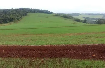Sítio a venda área de 17,5 alqueires, arrendada  plantando 10 alq assaí pr
