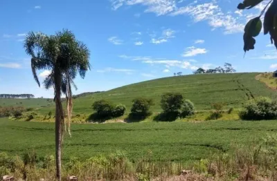 Sitio a venda área de 6 alqueires mecaniza 4,5 alq. região de tamarana pr