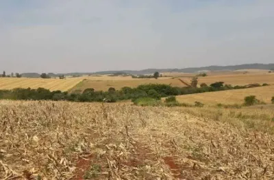 Sitio a venda  com uma área de 10 alqueires  na região de jataizinho paraná