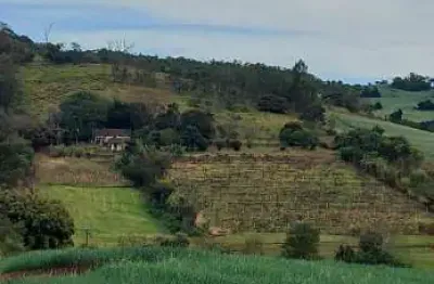 Sítio a venda área total 6 alqueires   300 metros do asfalto assaí pr
