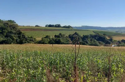 Sitio a venda  área  de 5,9 alqueires   plantando 4 alqueires  sertanópolis