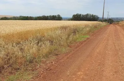 Sitio a venda   área  de 4 alqueires  gleba primavera ibiporã pr
