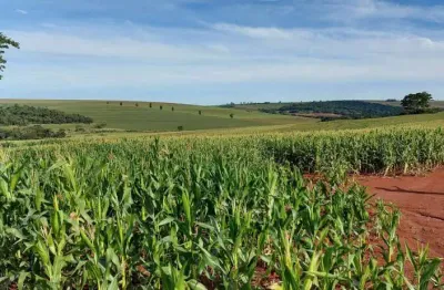 Sítio a venda área de 22,183 alqueires ,plantando 18 alqueires  porecatu pr