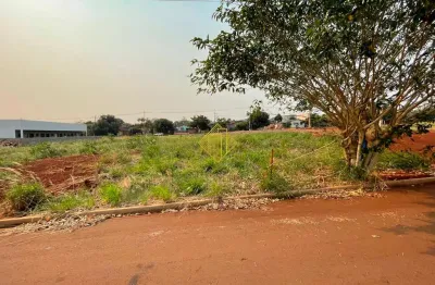 Lote ufpr jardim terra nostra, 3 quadras da ufpr palotina.