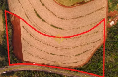 Terreno à venda no Jardim Europa, Toledo 