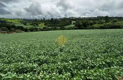 Chácara rural à venda em cascavel (bairro são salvador) — 84.700 m², aceita permuta