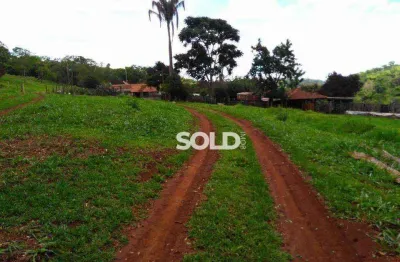 Chácara com 2 dormitórios à venda, 169400 m² por r$ 1.500.000,00 - centro - ribeirão corrente/sp