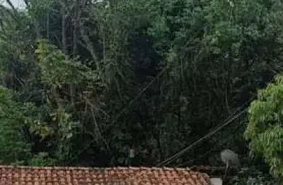Chácara com 2 dormitórios à venda, 5000 m² por r$ 750.000,00 - zona rural - patrocínio paulista/sp