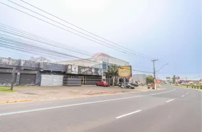 Terreno à venda na Avenida Dorival Cândido Luz de Oliveira, 7065, Bom Princípio, Gravataí