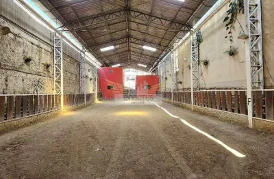 Galpão comercial para alugar, 455m² - campestre, santo andré/sp.