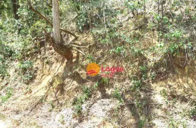Terreno à venda, 494 m² por r$ 120.000,00 - engenho do mato - niterói/rj