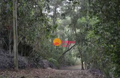 Terreno em local bastante arborizado, ideal para loteamento ou condomínio horizontal, 202.000 m², r$ 1.780.000,00 - vila progresso - niterói/rj