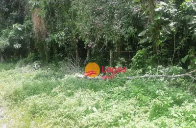 Terreno à venda, 2460 m² por r$ 340.000,00 - várzea das moças - niterói/rj