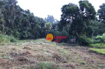 Terreno à venda, 47851 m² por r$ 1.100.000,00 - muriqui - niterói/rj