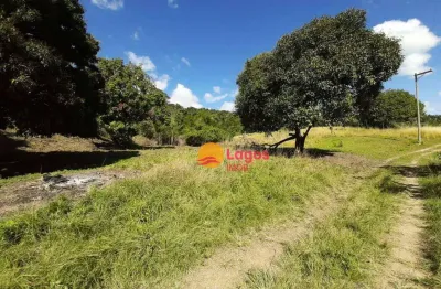 Área à venda, 83400 m² por r$ 390.000,00 - manoel ribeiro - maricá/rj