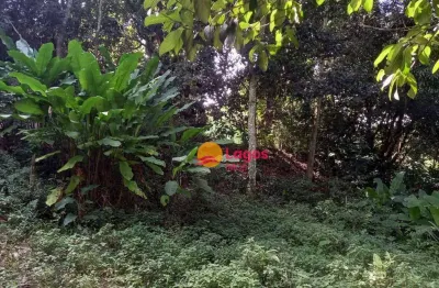 Área à venda, 27647 m² por r$ 1.800.000,00 - rio do ouro - niterói/rj