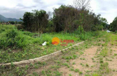 Terreno à venda, 1309 m² por r$ 180.000,00 - bananal (ponta negra) - maricá/rj