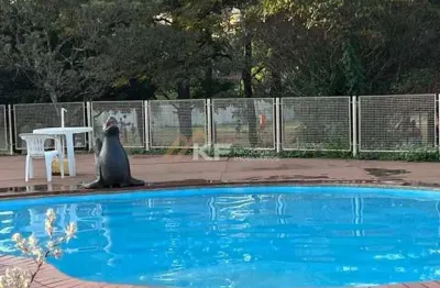 Apartamento em parque residencial lagoinha, ribeirão preto/sp