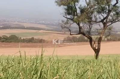 Fazenda à venda no Centro, Brodowski 