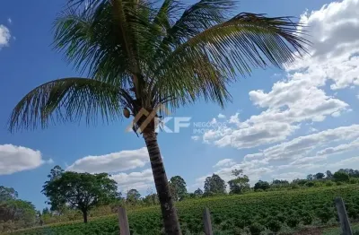 Fazenda à venda na Estrada Monte Santo De Minas, Centro, Monte Santo de Minas