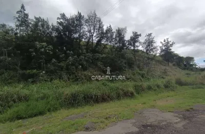 Terreno à venda, 95420 m² por r$ 3.300.000,00 - vila maria - barra mansa/rj