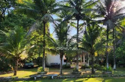 Chácara com 4 dormitórios à venda, 10150 m² por r$ 690.000 - são judas tadeu - barra mansa/rj